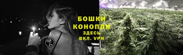 скорость Богданович