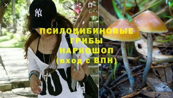 герыч Семилуки
