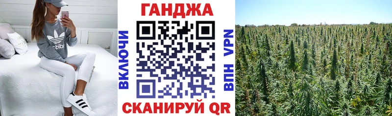 Бошки марихуана сатива Волжск